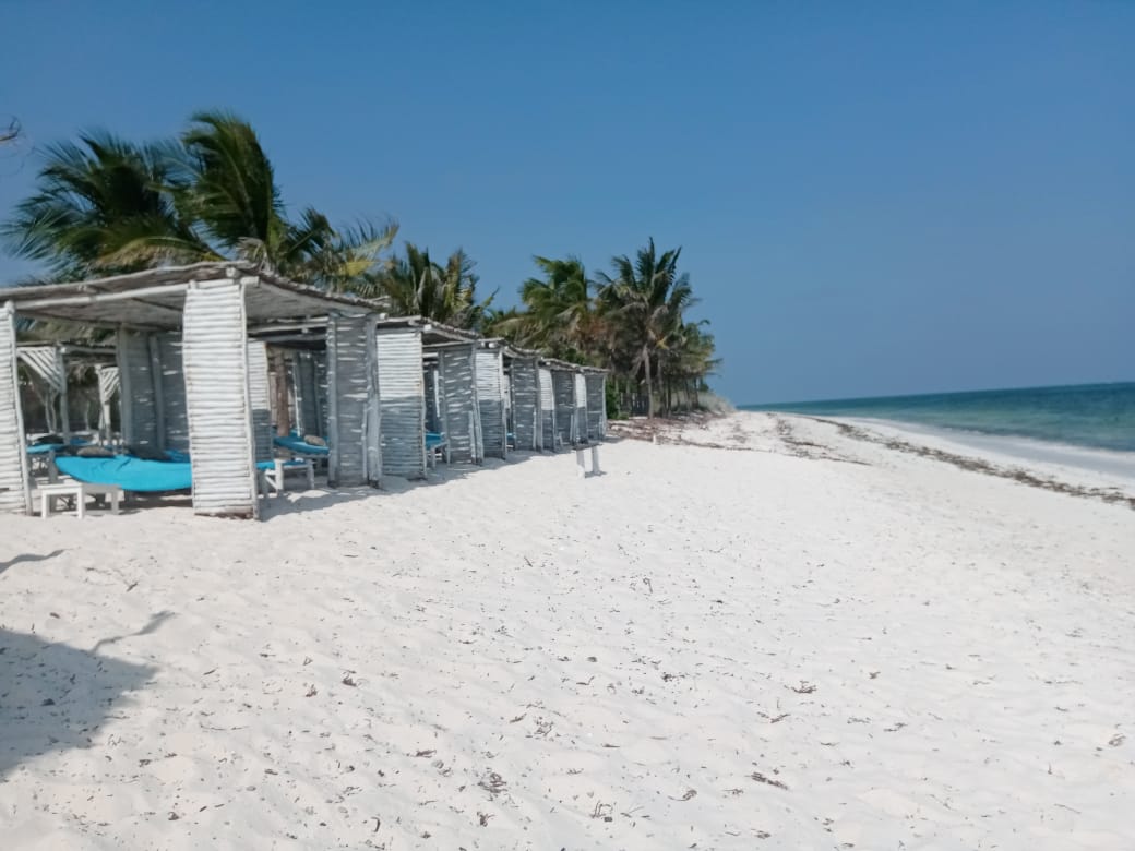 Modern real estate building